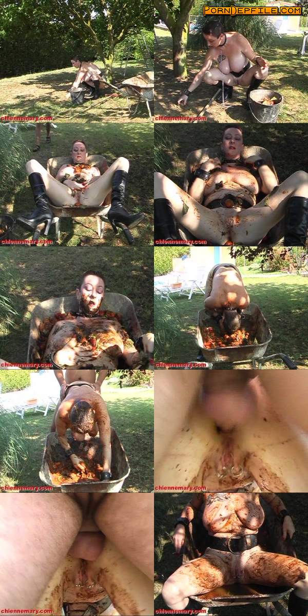 Fister-video-production: Chienne Mary - Scat slut - Humiliated & fucked in the wheelbarrow (Scat) 576p