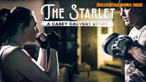 PureTaboo: Casey Calvert - The Starlet: A Casey Calvert Story (Blowjob, Natural Tits, Anal, Incest) 720p