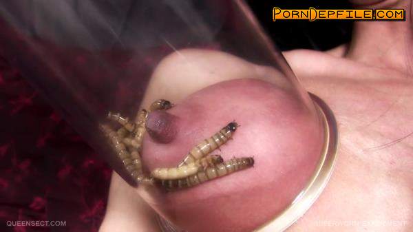 Queensnake, Queensect: QS - Superworm Experiment (HD Porn, Orgasm, BDSM) 720p