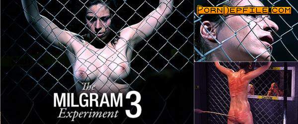 Elite Pain, Maximilian Lomp, Mood Pictures: The Milgram Experiment 3 (Hardcore, BDSM, Spanking, Torture) 720p