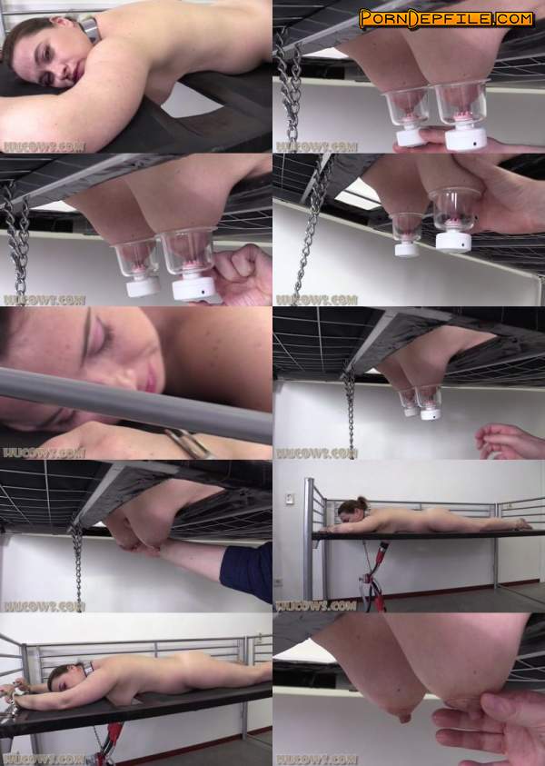 HuCows: Olga - sensitive nipples on the red cow milker (HD Porn, FullHD, BDSM, Bondage) 1080p
