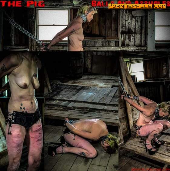 BrutalMaster: The Pig balls and ass holes (FullHD, BDSM, Torture, Humiliation) 1080p