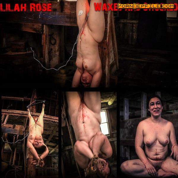 BrutalMaster: Lilah Rose - Waxed and Shocked (FullHD, BDSM, Torture, Humiliation) 1080p