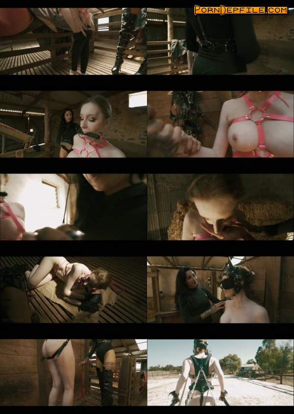 Fancysteel, James Grey: Cobie - The Pony 2 (FullHD, Fetish, BDSM, Bondage) 1080p