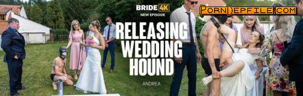 Bride4K, Vip4K: Andrea - Releasing Wedding Hound (FullHD, Hardcore, POV, Gonzo) 1080p