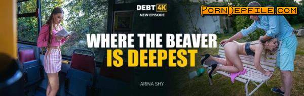 Debt4k, Vip4K: Arina Shy - Where the Beaver is Deepest (SD, Hardcore, POV, Gonzo) 540p